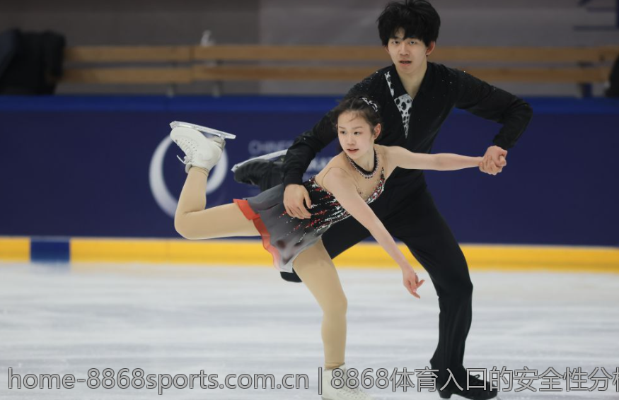8868体育入口的安全性分析